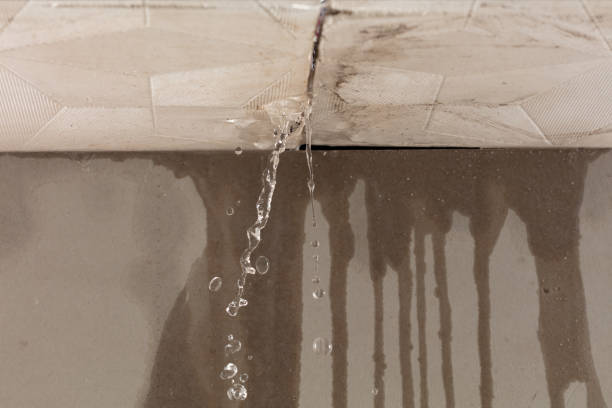 Professional Water Damage Repair technician working in Victor, ID